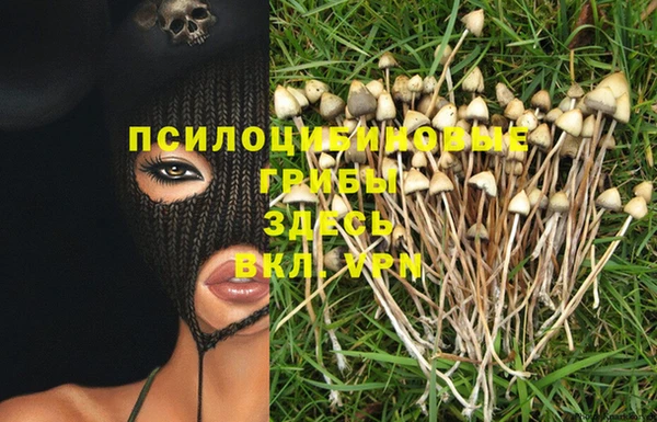 spice Беломорск